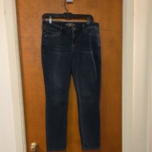 Lucky Brand Women's Lolita Skinny Jeans 29